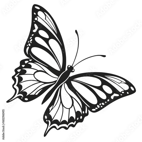Black silhouette of a butterfly on white background 
