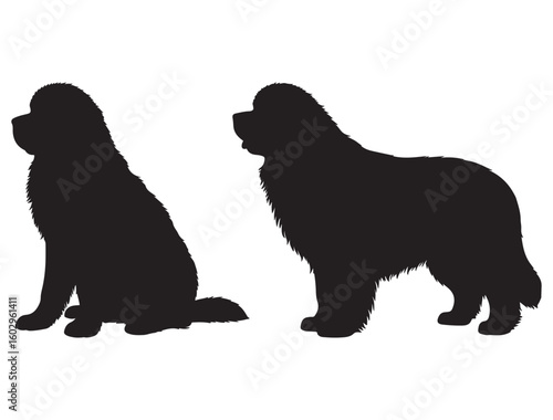 NEWFOUNDLAND DOG SILHOUETTE