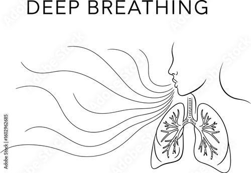 Illustration showcases deep breathing with lungs and air flowing, emphasizing respiratory health and mindfulness, ideal for wellness content and educational materials about breathing techniques.