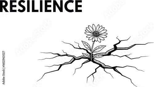 A resilient daisy emerges from cracked ground, symbolizing strength and overcoming adversity with a delicate flower illustration conveying hope and determination.