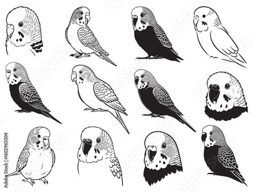 PARAKEET BIRD SILHOUETTE