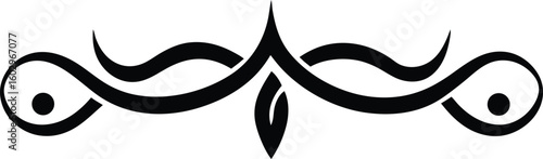 Elegant Swirl Flourish Design