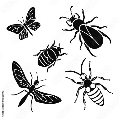 Collection of common insect silhouettes isolated on white background
