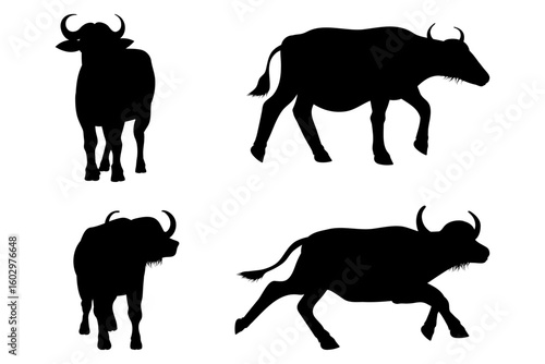 African buffalo silhouette vector in front and side view with standing, walking and running poses.