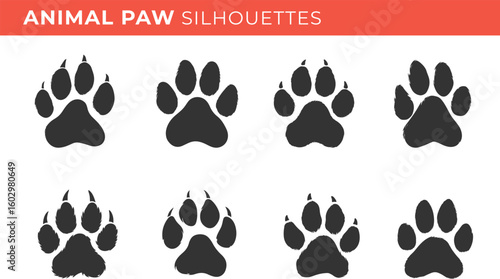 Set silhouettes of animal paw isolated on transparent background. Vector illustrations