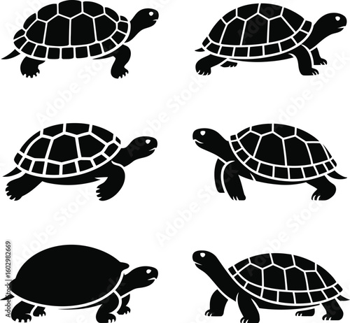 Collection of six black turtle silhouettes isolated on white background