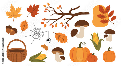 Autumn harvest illustration with leaves pumpkins mushrooms corn acorns and a basket on a white background