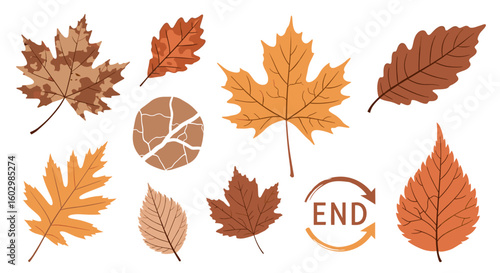 Assorted autumn leaves in various shades of brown and orange with an end graphic on a white background
