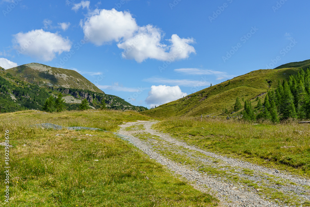 Fototapeta premium Sommer in Käörnten