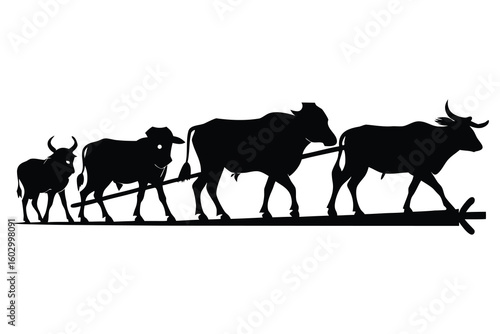  Silhouette Oxen Plowing Field – Set of 5 with Traditional Yoke, Pulling & Resting.