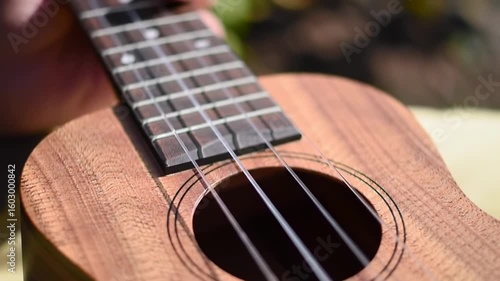 Close-up of a ukulele