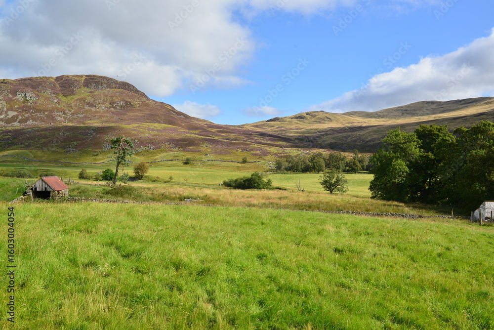 Schottland_2024_160 Schottland_2024_160