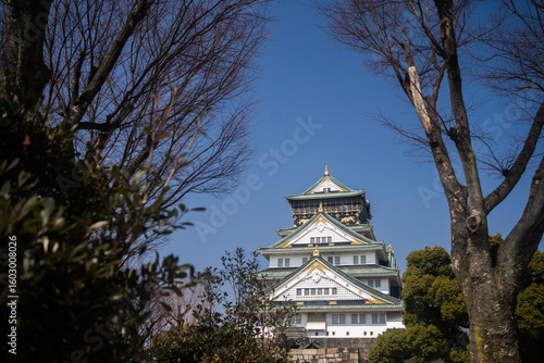 Wallpaper Mural Streets of Osaka  Torontodigital.ca