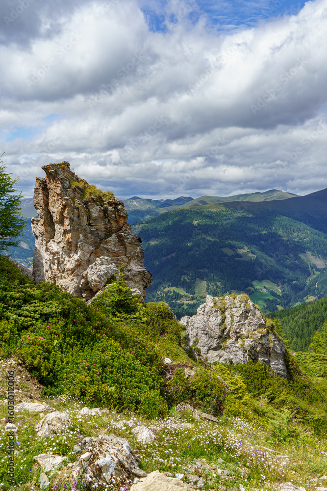 Obraz premium Sommer in Käörnten