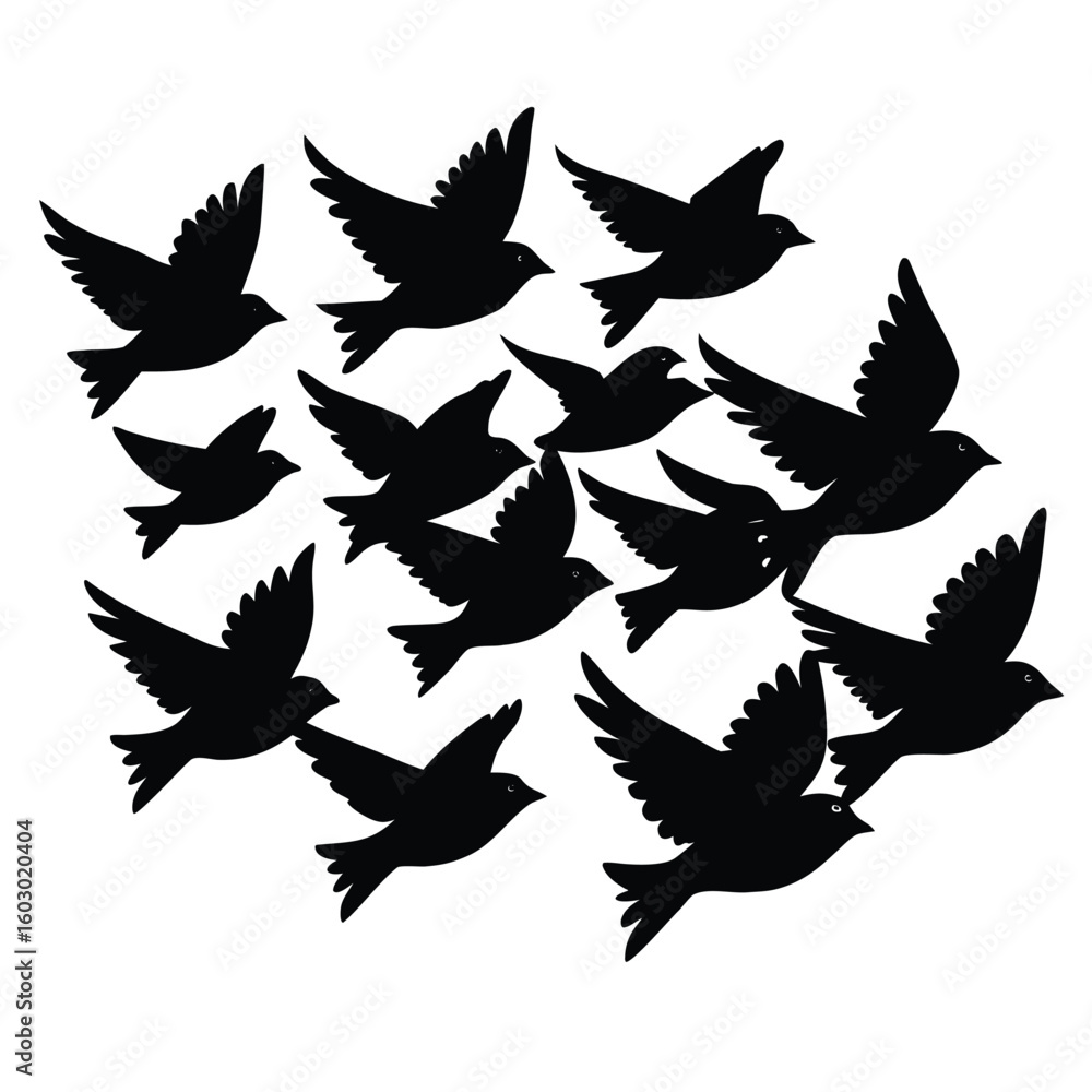 Fototapeta premium Flock of silhouetted birds in flight