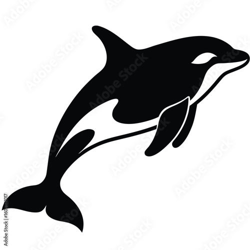 Silhouette of a leaping orca whale in black and white