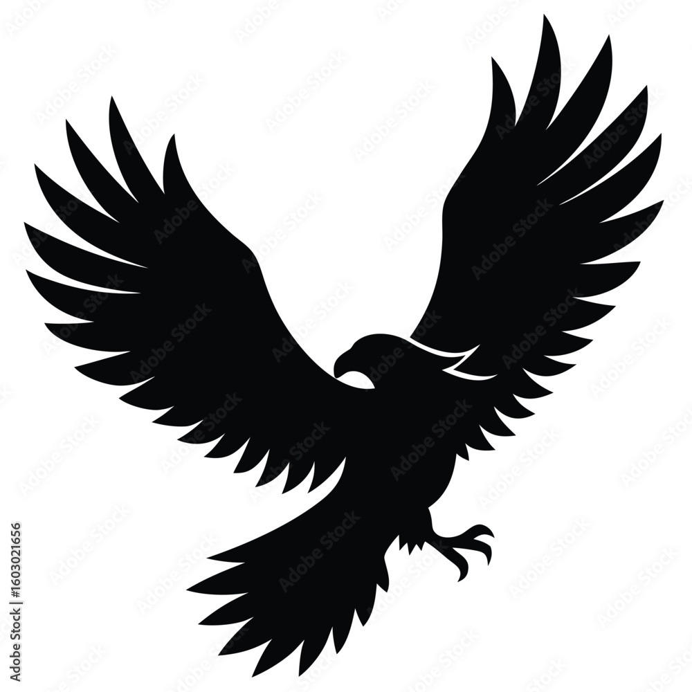 Obraz premium Silhouette of a majestic eagle in flight with wings spread wide