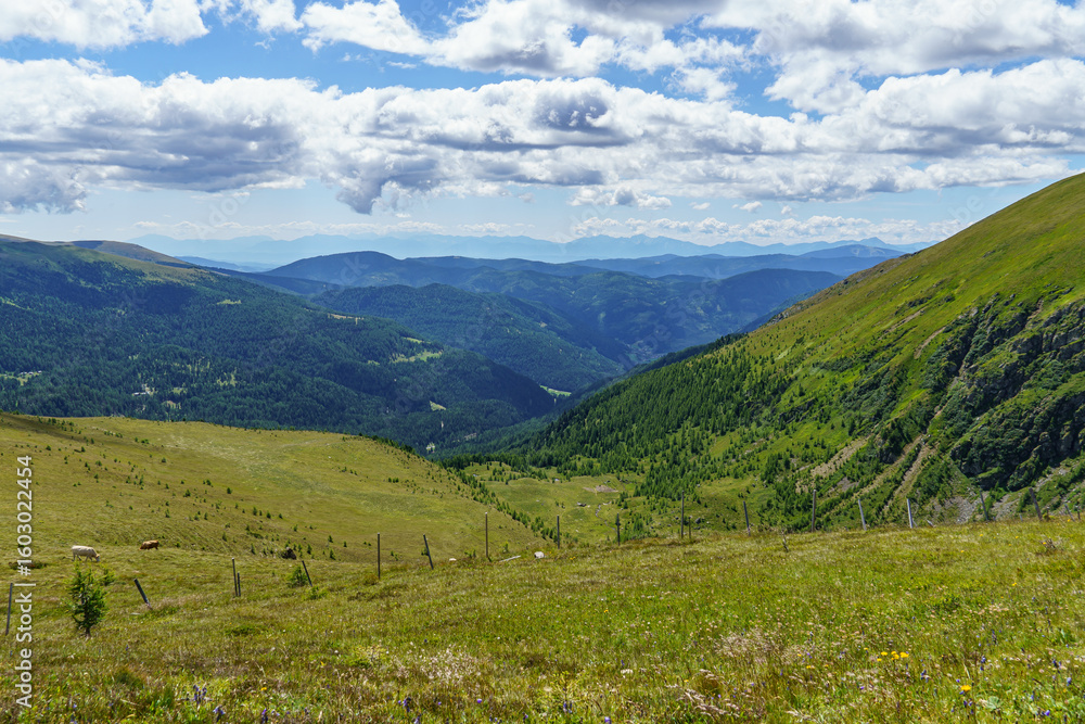 Fototapeta premium Sommer in Käörnten