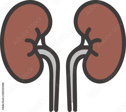 Simple Black Outline Depiction of Human Kidneys with Ureters on White