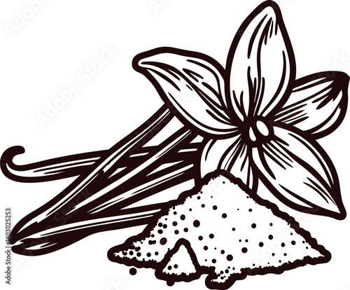 Hand drawn vanilla flower with pods and ground powder isolated on white background illustration