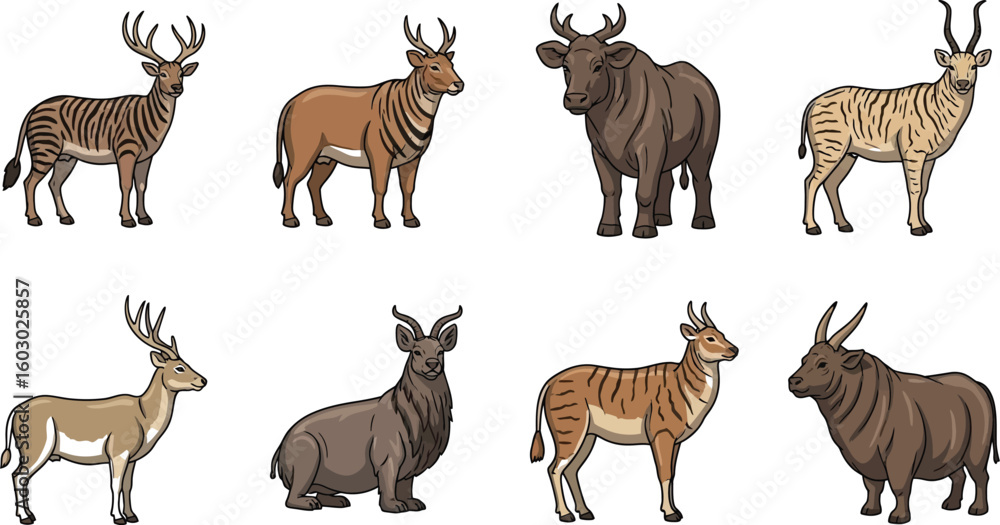 Fototapeta premium Collection of anoas and deer illustrations showcases various poses and coat patterns, perfect for educational materials or wildlife-themed designs with its detailed animal drawings.