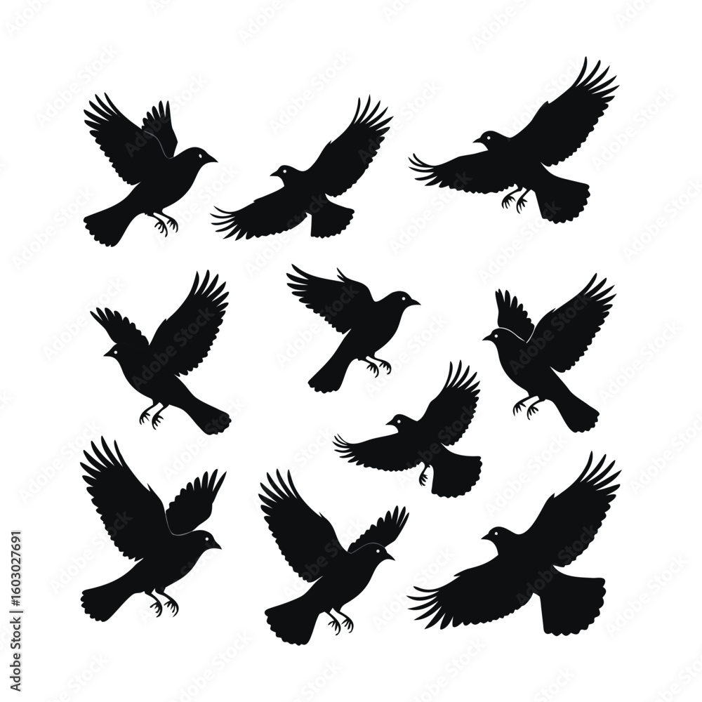 Fototapeta premium Silhouettes of Birds in Flight Against a White Background