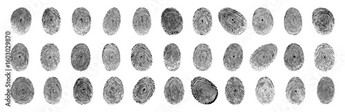 Fingerprint Collection: A comprehensive set of 36 detailed black and white fingerprint illustrations, perfect for forensic, security, or identity design projects.
