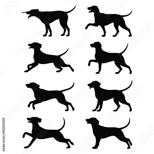 Silhouette vector set of hunting dogs in various poses including pointing, running, and retrieving in black and white