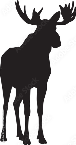 A detailed black vector silhouette of a majestic bull moose with large antlers, a wild animal illustration isolated on a white background for design