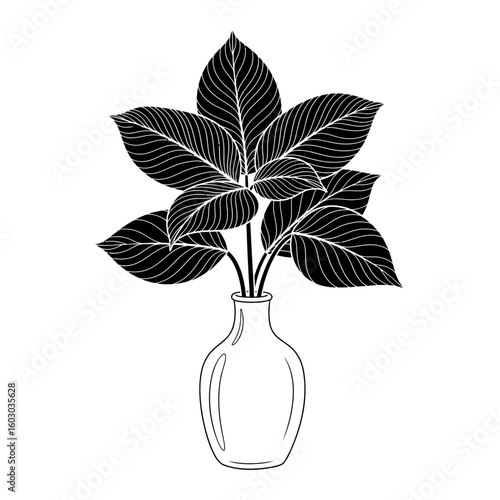 Black and white drawing of plant with large leaves in a vase illustration