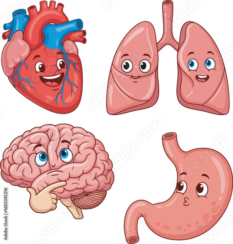 Cartoon illustration of human organs, including heart, lungs, brain, and stomach, with friendly faces.