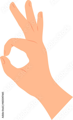 Hand with fingers folded in an okay gesture. Vector illustration with transparent background.	
