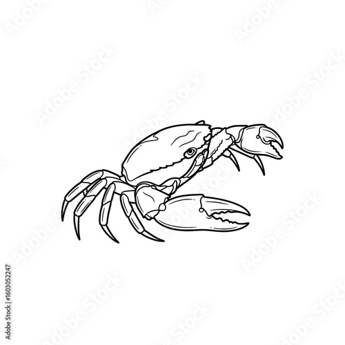 Simple outline of a crab with claws raised in defensive posture