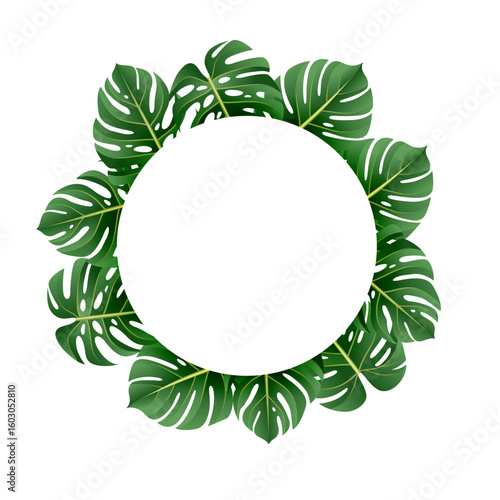 Tropical monstera leaves round frame on white background. Vector illustration.