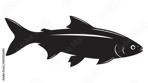 Black and white fish illustration, vector graphic design element