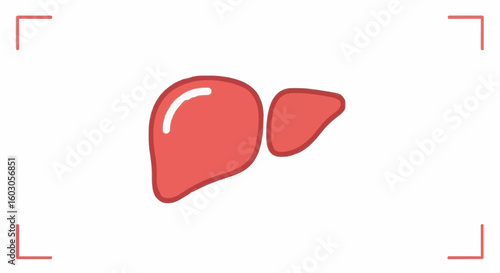 Healthy red liver icon, vibrant organ symbol