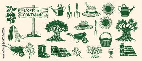 Vintage farmer's garden illustration set with tools, olive tree, and homegrown vegetables. Engraving style farm elements for organic food branding, menus, and rustic gardening designs.