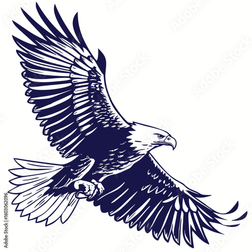 Majestic eagle soaring with wings spread wide bird