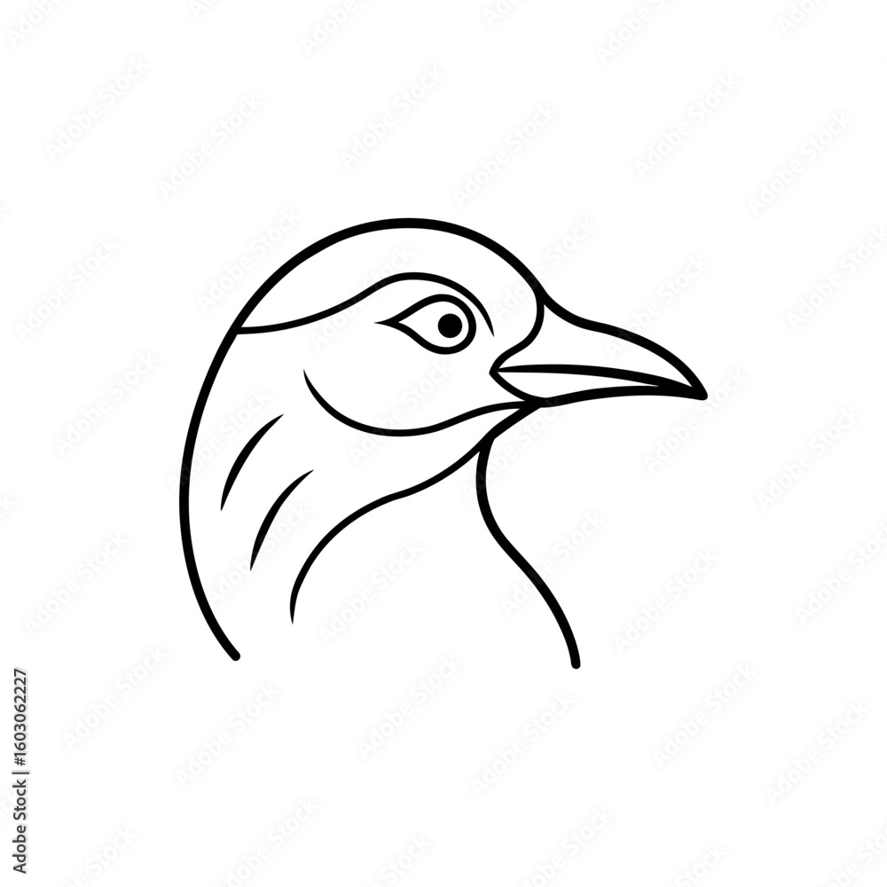 Fototapeta premium A sorell Bird's Head Line art vector illustration.