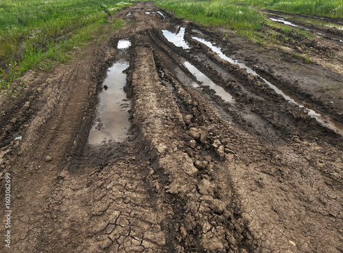 Muddy dirt road with deep tire tracks and puddles, surrounded by lush green grass and wildflowers,effects of rain on rural landscapes and nature's resilience