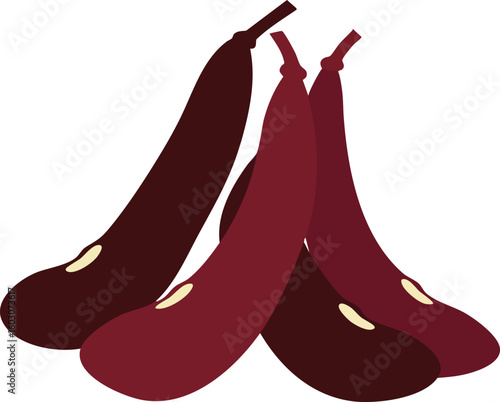 Group of fresh purple eggplants with seeds visible vector illustration of healthy vegetables 