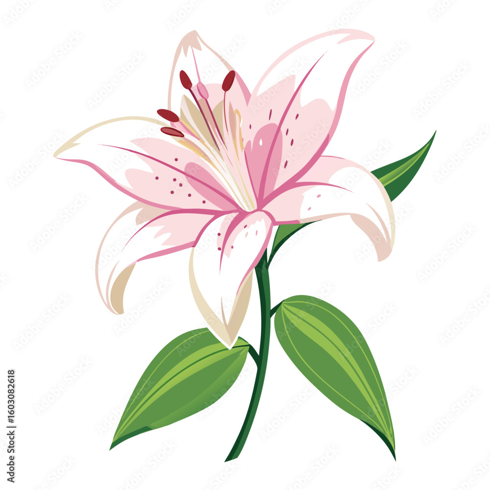 Naklejka premium vector illustration of lily
