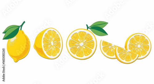 A collection of fresh lemon fruit illustrations, including whole, half, slices, and wedges isolated on a white background.