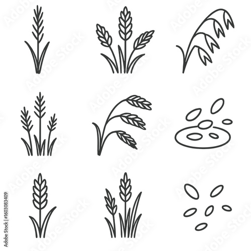 Wild Grain Icons. Line style icons of wild grain in nature: meadow grass with seed, mountain grain plant, wild oats, forest glade