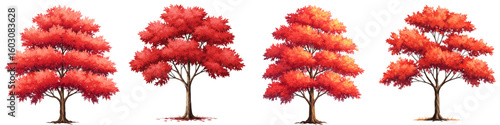 Set of isolated trees with red leaves in autumn  