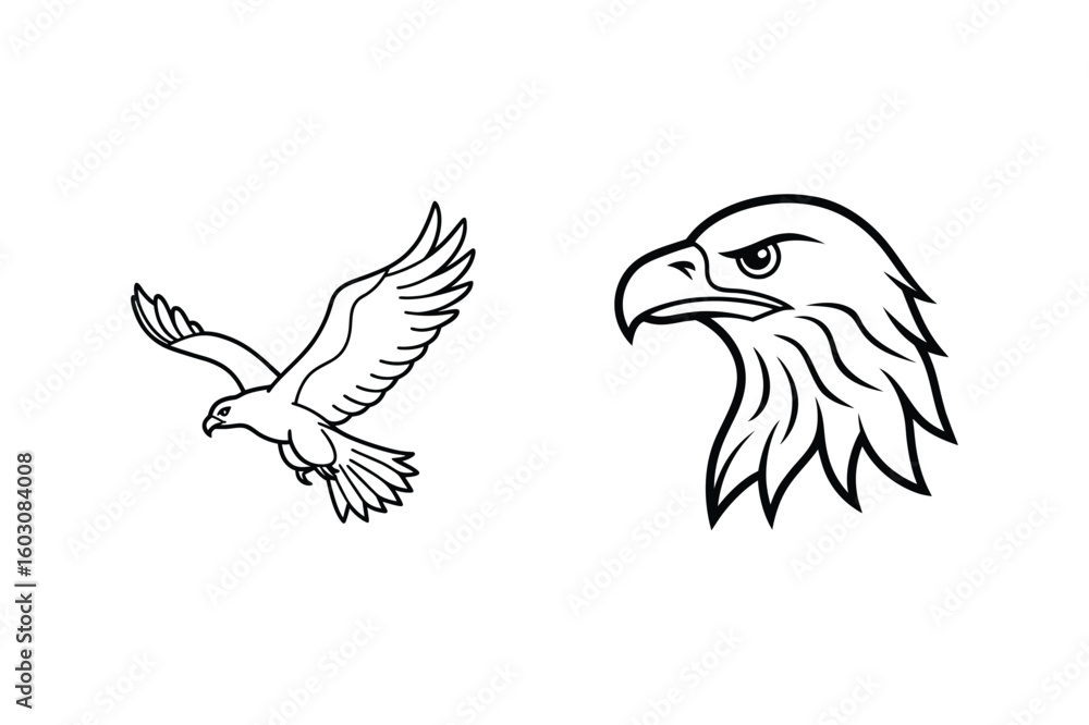 Obraz premium Majestic eagle in flight and fierce eagle head bird