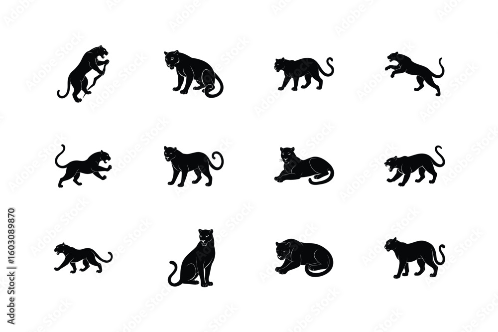 Obraz premium vector illustration of panther pose set.