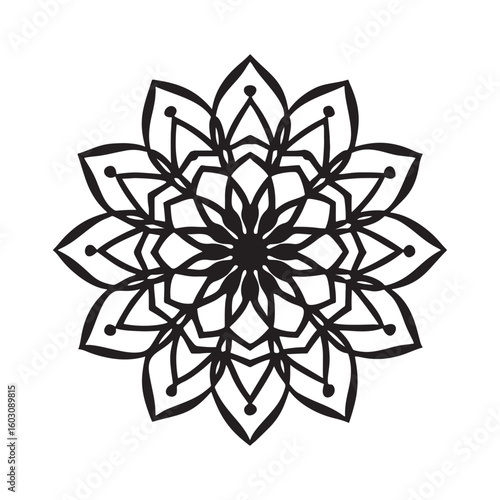 Intricate geometric mandala pattern with floral elements