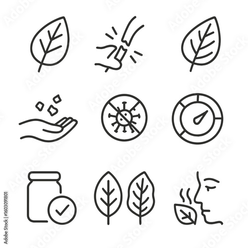 Herb Drying Icons. Line style icons of signs of properly dried herbs: crisp leaf symbol, stem snap icon, preserved color leaf,