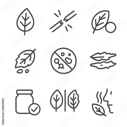 Herb Drying Icons. Line style icons of signs of properly dried herbs: crisp leaf symbol, stem snap icon, preserved color leaf,